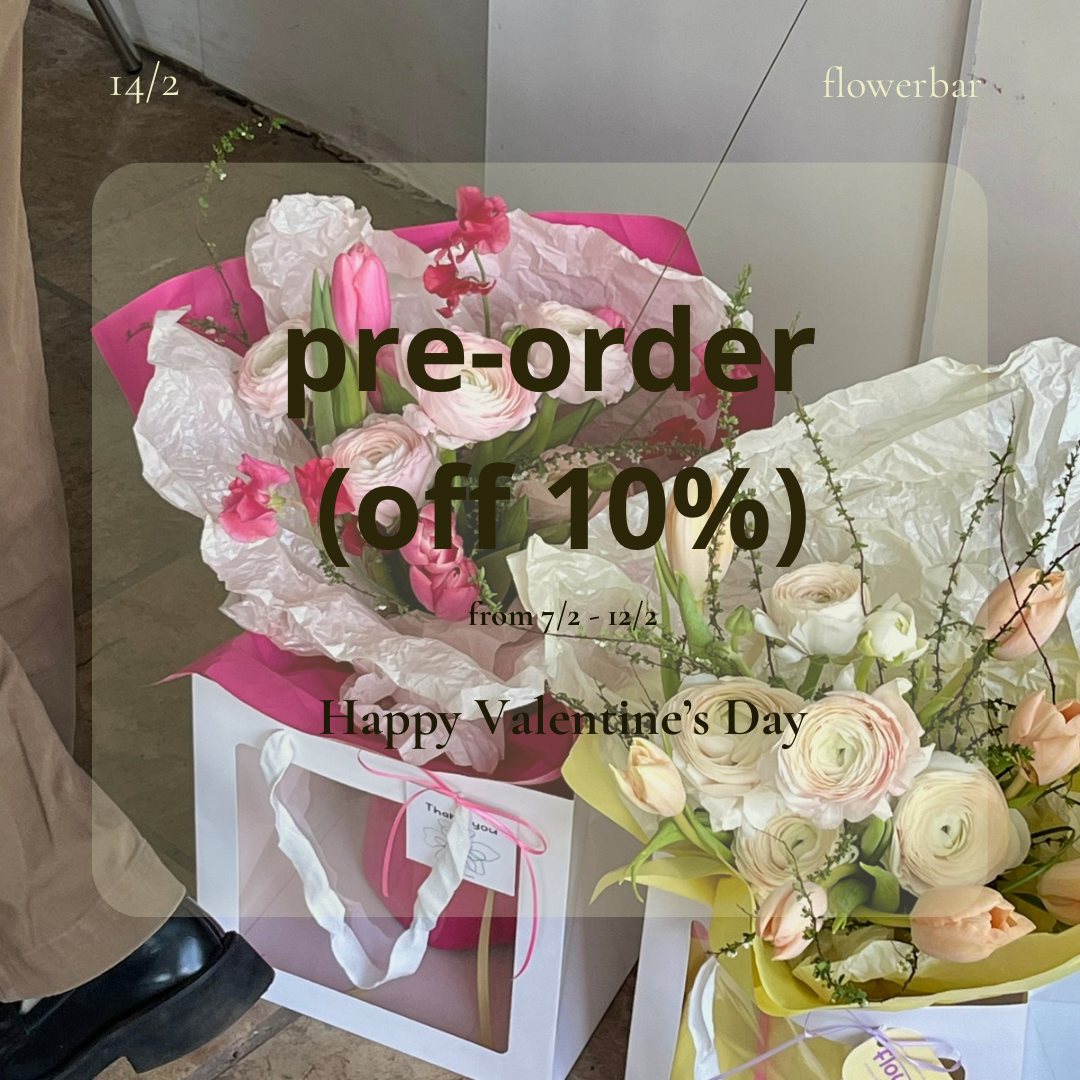 Valentine's Day Collection